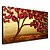 זול ציורי פרחים/צמחייה-ציור שמן צבוע-Hang מצויר ביד - טבע דומם פרחוני / בוטני פסטורלי מודרני עם מסגרת
