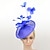 abordables Chapeaux et coiffes-Tulle / Plume Chapeau Kentucky Derby / Fascinateurs avec 1 Mariage / Occasion spéciale / Journée des dames Casque