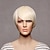 abordables Perruques Synthétiques-Perruque Synthétique Droit Droite Perruque Blond Court Blonde Cheveux Synthétiques Femme Blond