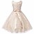 levne Šaty-Girls &#039; Bez rukávů Jednobarevné 3D tištěná grafika Šaty Krajkový Polyester Šaty Léto Jaro Podzim Jdeme ven