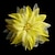 Χαμηλού Κόστους Κεφαλό Γάμου-Ύφασμα Λουλούδια / Καλύμματα Κεφαλής / Πιαστρακι ΜΑΛΛΙΩΝ με Φλοράλ 1 τεμ Γάμου / Ειδική Περίσταση Ακουστικό