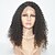 cheap Synthetic Lace Wigs-Synthetic Lace Front Wig Kinky Curly Synthetic Hair Natural Hairline Wig Women&#039;s Lace Front