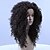 billige Syntetiske trendy parykker-Syntetiske parykker Krøllet Afro Krøllet Afro Parykk Medium Lengde Svart Syntetisk hår Dame Svart