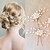 levne Bryllupshodeplagg-Pearl / Crystal Hair Combs / Hair Stick with 1 Piece Wedding / Special Occasion Headpiece