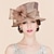 voordelige Feesthoeden-hoed Organza Kentucky Derby Paardenrace Damesdag Melbourne Cup Elegant en luxueus Met Strik Veren / Bont Helm Hoofddeksels