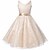 levne Šaty-Girls &#039; Bez rukávů Jednobarevné 3D tištěná grafika Šaty Krajkový Polyester Šaty Léto Jaro Podzim Jdeme ven