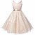 cheap Dresses-Girls&#039; Sleeveless Solid Colored 3D Printed Graphic Dresses Lace Polyester Dress Summer Spring Fall Going out