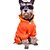 billiga Hundkläder-Katt Hund Regnjacka Hundkläder Regnbåge Kostym Plast Enfärgad Ledigt / vardag 18&quot; 20&quot; 16&quot; 10&quot; 12&quot; 14&quot;