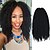 cheap Crochet Hair-black 17 kanekalon afro kinky braids twist havana curly synthetic hair braids 100g with free crochet hook