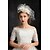 זול כיסוי ראש לחתונה-טול נוצה fascinators headpiece קלאסי הנשי סגנון