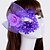 baratos Jóias de cabelo-Máscaras Renda Púrpura Ocasião Especial / Casual / Ao ar livre