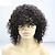 ieftine Peruci din păr uman-Păr Natural Față din Dantelă Perucă afro / Kinky Curly 180% Densitate Linia naturală de păr / Perucă Americană Africană / 100% Legat Manual Mediu Pentru femei Peruci Păr Uman