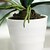 Недорогие Искусственные цветы-Шелк / Полиуретан Орхидеи Искусственные Цветы