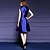 preiswerte Kleider in Übergröße-Damen A-Linie Kleid Ärmellos Stickerei Blume Frühling Sommer V-Ausschnitt Einfach Königsblau