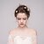 voordelige Bruiloft Zendspoel-Vrouwen Licht Metaal Helm-Informeel Haarclip 1 Stuk