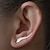 cheap Trendy Jewelry-Stud Earrings Climber Earrings For Women&#039;s Casual Daily Alloy Leaf Gold Silver