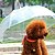 tanie Artykuły i akcesoria do pielęgnacji dla psów-Psy Zwierzęta domowe Torby Wodoodporny Przenośny Solidne kolory Transparenty