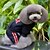cheap Dog Clothes-Dog Hoodie American / USA Dog Clothes Black Red Rose Costume Cotton S M L XL XXL