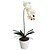 preiswerte Künstliche Blume-Seide / PU Orchideen Künstliche Blumen