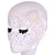preiswerte Haarschmuck-Sey Stil schwarz / weißer Spitze Maske für Halloween Partydekoration Masker Maskerade