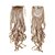 זול חלקים לשיער-קוקו חתיכת שיער מתולתל גלי קלאסי שיער סינטטי 22 אינץ&#039; הַאֲרָכַת שֵׂעָר Cross Type בגדי ריקוד נשים יומי