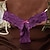 levne Sexy spodní prádlo-Women&#039;s G-strings &amp; Thongs Panties Ultra Sexy Panty Underwear Lace Solid Colored Nylon Cotton Low Waist Super Sexy White Black Purple One-Size