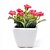 billige Kunstig blomst-Silke / PU Others Kunstige blomster