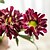 Недорогие Искусственные цветы-Искусственные Цветы 1pcs Филиал Современный Другое Букеты на стол