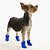 baratos Roupa para Cães-Gato Cachorro Capa de Chuva Sapatos e Botas Fantasias Casual / Diário Prova-de-Água Sólido Carta e Número Para animais de estimação Verde / Inverno