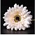 olcso Művirág-Művirágok 1 Ág Modern stílus Százszorszépek Asztali virág