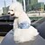 voordelige Hondenkleding-Hond Broeken Hondenkleding Casual/Dagelijks Effen Blauw Kostuum Voor huisdieren