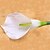 cheap Artificial Flower-1PC  Household Artificial Flowers Sitting Room Adornment    Calla  Lily   Artificial   Flowers
