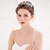voordelige Hoofdbanden-Legering kroon tiara&#039;s / hikinauhat / Hoofdkleding met Bloemen 1 stuk Bruiloft / Speciale gelegenheden  / Casual Helm