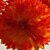 voordelige Kunstbloemen-Kunstbloemen 1 Tak Pastoraal Stijl Chrysant Bloemen voor op tafel