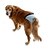 tanie Ubrania dla psów-Pies Majtki Ubrania dla psów Jendolity kolor Black Gray Rose Bawełna Kostium Dla zwierząt domowych Lato Męskie Damskie Codzienne