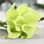 baratos Flor artificial-Flores artificiais 5 Ramo Estilo Moderno Lírios Flor de Mesa