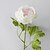billige Kunstig blomst-Kunstige blomster 1 Gren Moderne Stil Peoner Bordblomst