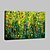 abordables Peintures fleurs/botaniques-Peinture à l&#039;huile Hang-peint Peint à la main - A fleurs / Botanique Moderne Avec Cadre