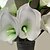 cheap Artificial Flower-1PC  Household Artificial Flowers Sitting Room Adornment    Calla  Lily   Artificial   Flowers