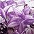 preiswerte Sofadecken &amp; Überwürfe-Korallenfleece, Bedruckt Blumen / Pflanzen 100% Polyester Decken