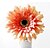 billiga Artificiell Blomma-Konstgjorda blommor 1 Gren Modern Stil Prästkragar Bordsblomma