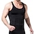 cheap Exercise, Fitness &amp; Yoga Clothing-Waist Trainer Vest Hot Sweat Workout Tank Top Slimming Vest Body Shaper 1 pcs N / A Sports Spandex Chinlon Fitness Gym Workout Running N / A Tummy Control Weight Loss ABS Trainer For Men&#039;s Waist N