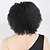 halpa Synteettiset trendikkäät peruukit-Synteettiset hiukset Peruukit Kihara Suojuksettomat Carnival Peruukki Halloween Peruukki musta Wig Lyhyt Musta