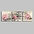 levne Reprodukce maleb-Grafika Válcované plátno - Botanický motiv Tři panely Umělecké tisky