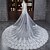 cheap Wedding Veils-Wedding Veil One-tier Cathedral Veils Lace Applique Edge Tulle