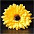 billige Kunstig blomst-Kunstige blomster 1 Afdeling Moderne Stil Tusindfryd Bordblomst