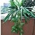 זול צמחים מלאכותיים-פוליאסטר סגנון מודרני סל פרח 1
