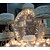 cheap Wedding Decorations-Diamond Pieces Crystal / Acrylic / Eco-friendly Material Wedding Decorations Christmas / Wedding / Anniversary Beach Theme / Garden Theme / Asian Theme Spring / Summer / Fall