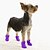 ieftine Îmbrăcăminte Câini-Pisici Câine Haină de ploaie Pantofi &amp; Cizme Cosplay Casul / Zilnic Impermeabil Mată Literă &amp; Număr Pentru animale de companie Verde / Iarnă