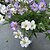 voordelige Kunstbloemen-Kunstbloemen 1 Tak Moderne Style Overige / Madeliefjes Bloemen voor op tafel